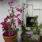Bed and Breakfast Bea's 3*