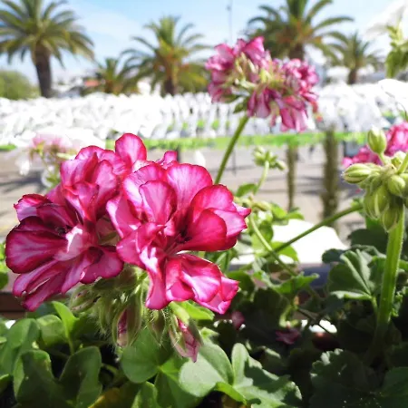 Couette-café Bea's 3*