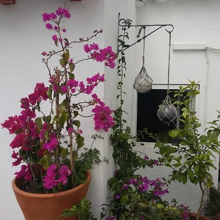 Alojamento de Acomodação e Pequeno-almoço Bea's *