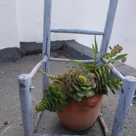 Couette-café Bea's 3*