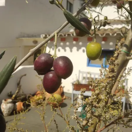 לינה וארוחת בוקר Bea's טאווירה