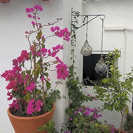 Bed and Breakfast Bea's Ταβίρα