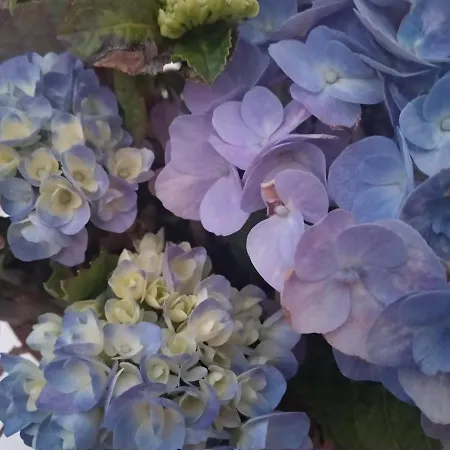 Bed & Breakfast Bea's Tavira